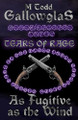 As Fugitive as the Wind by M Todd Gallowglas