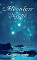 Moonless Night by Cornelia Amiri