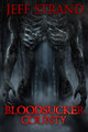 Bloodsucker County by Jeff Strand