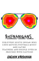 Shenanigans by Sachin Krishnaa