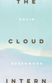 The Cloud Intern by David Greenwood, MFA