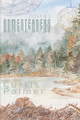 Domesteaders: Cloud 8.5 Curtis Palmer 9781038318305
