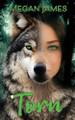 Torn Megan James 9798308982784