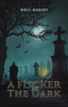 A Flicker in the Dark Rio L. Barney 9781035845859