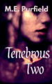 Tenebrous Two M E Purfield 9798231102464