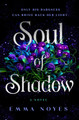 Soul of Shadow Emma Noyes 9780241683880