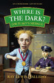 Where is the dark? (or Flaky's medals) Ray Lewis Halliday 9781917329873