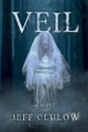 Veil Jeff Clulow 9781764139717