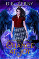 Chance At Joy D R Perry 9798885417150