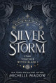 Silver Storm Michelle Madow 9798999162526