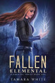 Fallen Elemental by Rachel Mowry