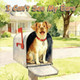 I Can't See My Ears Riley Peiker 9781969857652