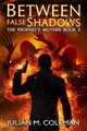 Between False Shadows Julian M Coleman 9781095054000