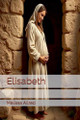 Elisabeth Melissa Allred 9798233360237