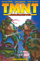 TMNT: Journeys, Vol. 1 Peter Laird 9798887244655