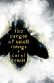 The Danger of Small Things Caryl Lewis 9781665977517