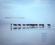 Human Documents: Eight Photographers Robert Gardner 9780873658577