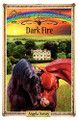 Dark Fire Angela Dorsey 9780986847165
