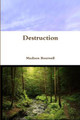 Destruction by Madison Boutwell