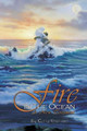 Fire in the Ocean: A New Testament Curly Raphino 9781449030766