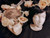 Cream Rose Stefana displayed on two mannequin heads