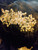 Symphony of Light Hair Vine