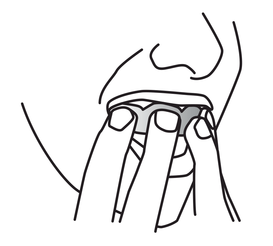 Step 5 - Insert your SISU