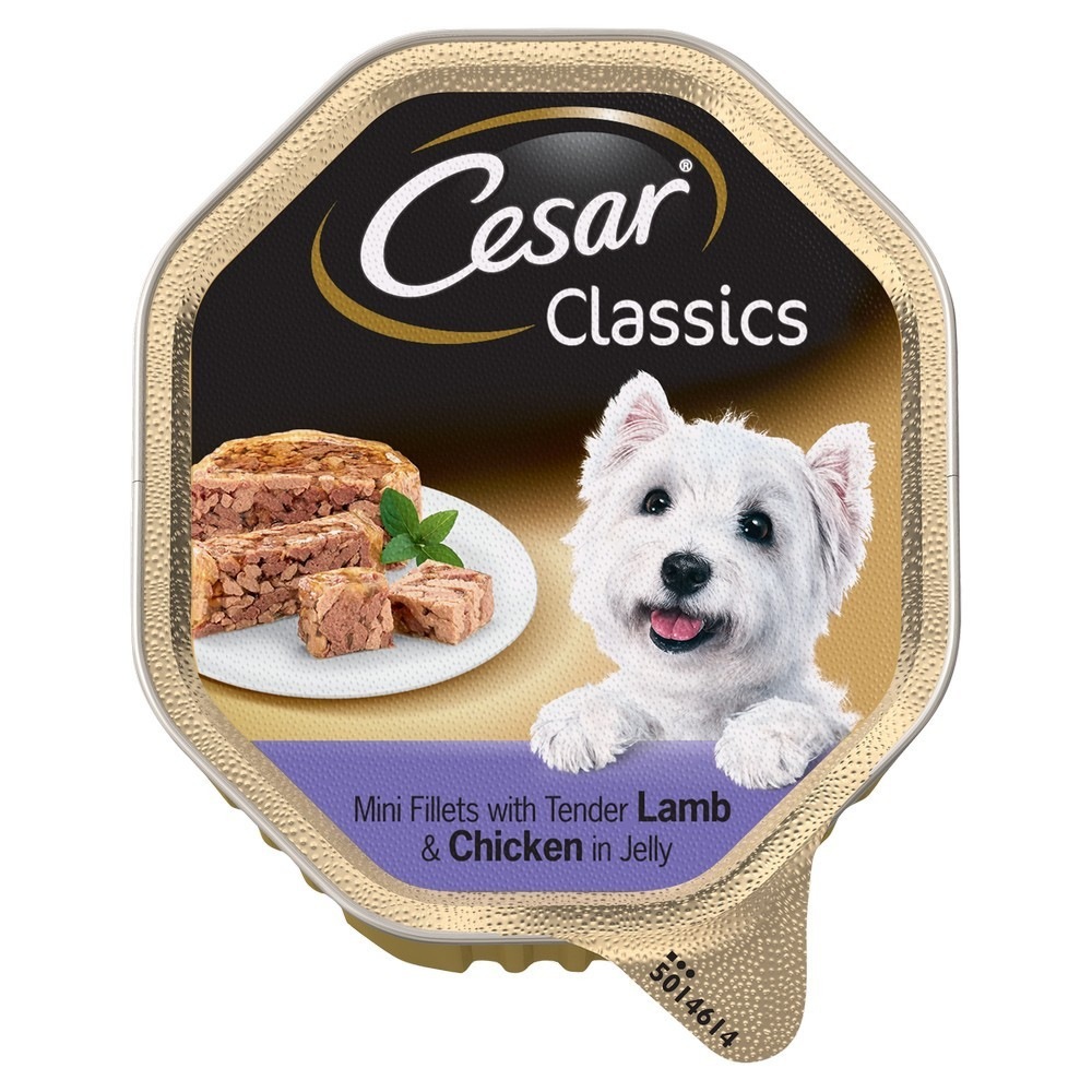 cesar lamb
