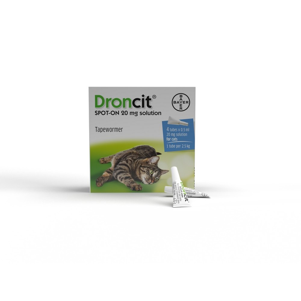 droncit wormer for cats