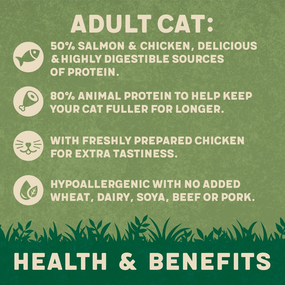 Harringtons Adult Complete Dry Cat Food with Salmon 2kg Just for - Main Image