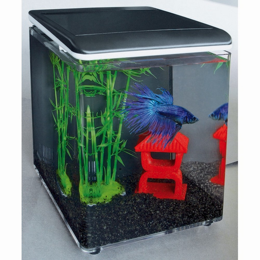 superfish aquarium