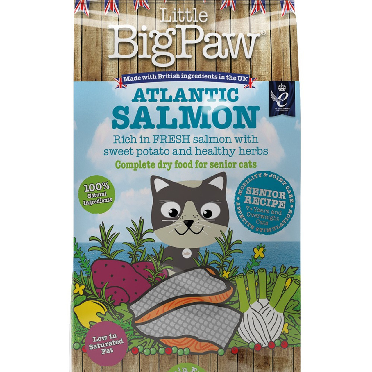 Big Paw Atlantic Salmon Complete Senior Cat | Just for Pets