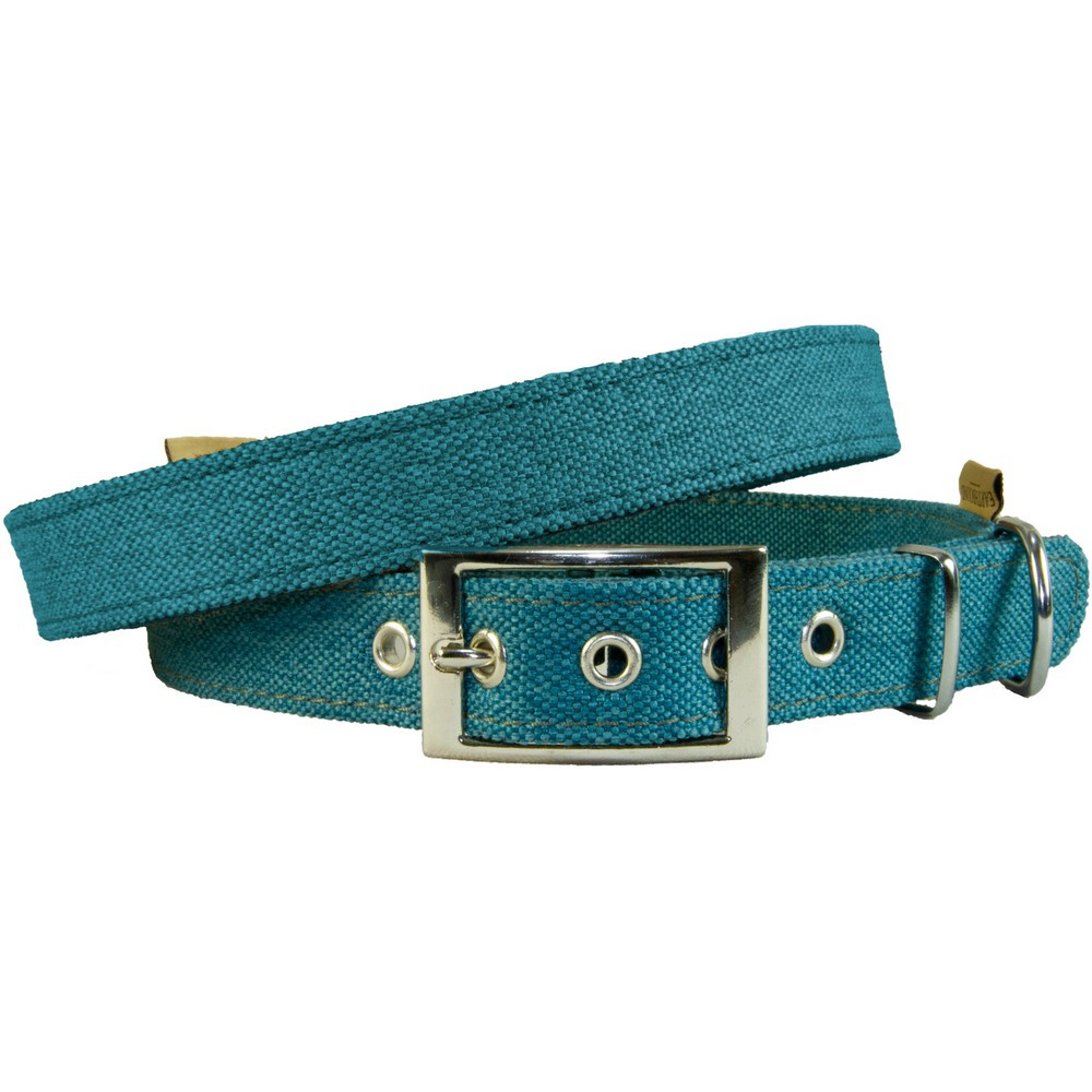teal dog collar