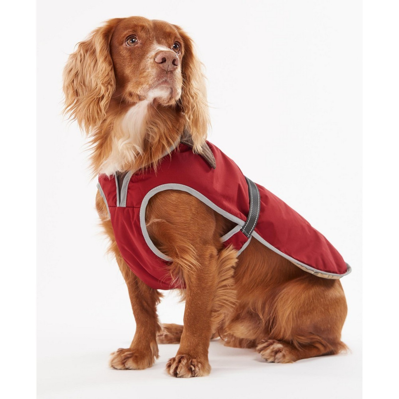 Barbour Monmouth Waterproof Coat Red | Just for Pets