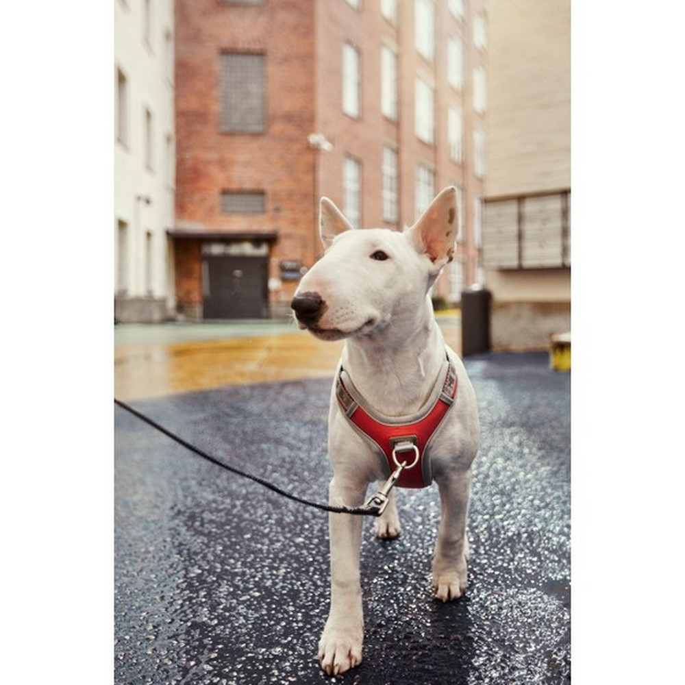 Hurtta Venture No-Pull Harness Coral Just for Pets