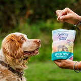 Dog Training Success with High-Protein Treats