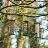 It's "Feed the Birds" Day Soon!