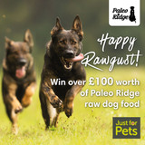 Competition Time! Win over £100 worth of Paleo Ridge Raw Dog Food!