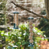 Walter Harrison's Wild Bird Feeder Care