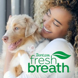 Dental Health Month - Time to Focus on your Dog's Oral Wellbeing