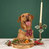 Sold Out Beef Wellingtons Back On The Menu at Just for Pets Stores