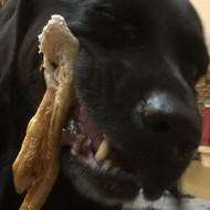 Ted's Story - Is it time to change foods?