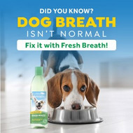 Pet Dental Health Month: Top Dental Health Tips for Dogs