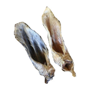 Hairy Goat Ear