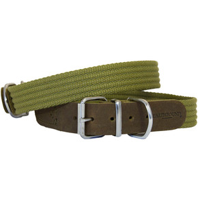 earthbound whippet collar