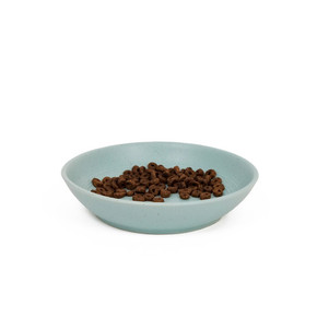 Great & Small Ceramic Cat Dish Teal
