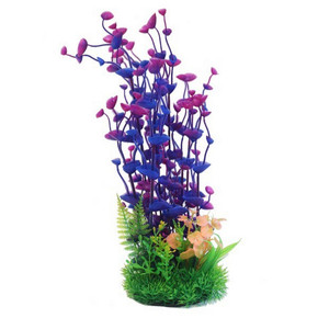 Betta Plant Purple Combi 9"
