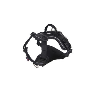 Bully Billows Hurricane Harness Black