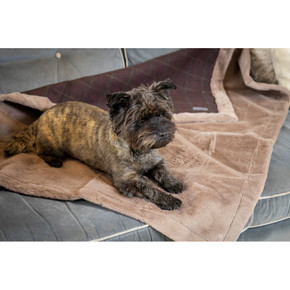 House of Paws Berry Tweed & Plush Blanket