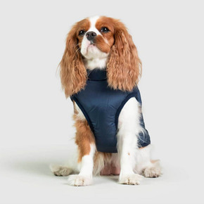 Pawfect4Pets Harness Coat Navy Pawfect4Pets Harness Coat Navy